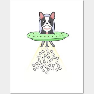 Funny french bulldog is flying a ufo Posters and Art